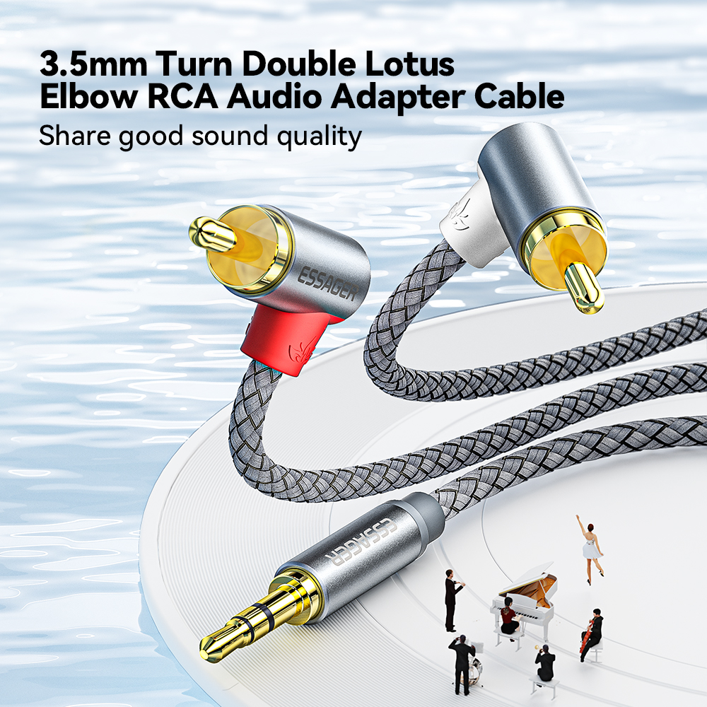 Essager 90 ° Angle RCA Audio S - огляд і ціна Home Cinema Unit