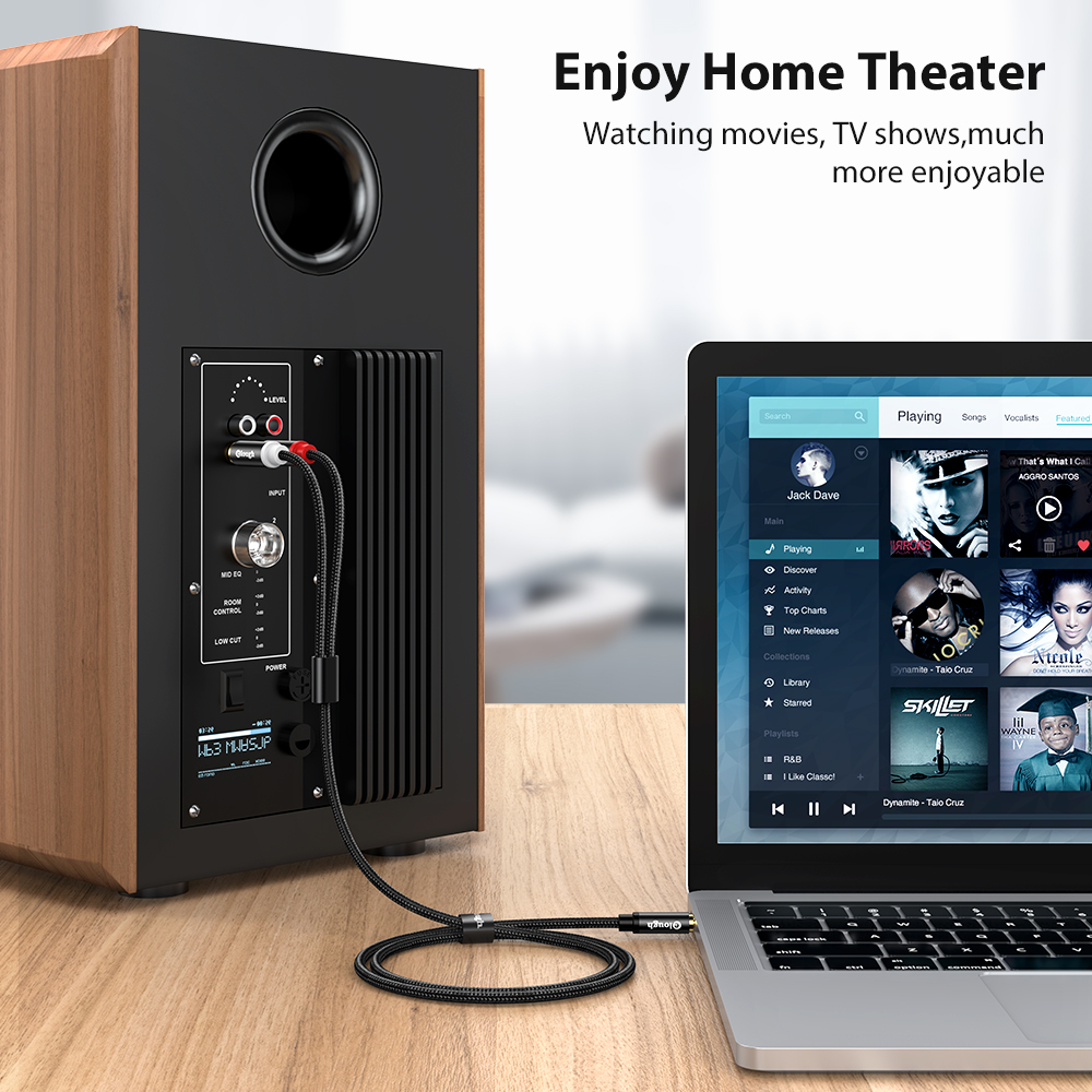 Elough RCA Cable AUX RCA Speak - огляд і ціна Home Cinema Unit